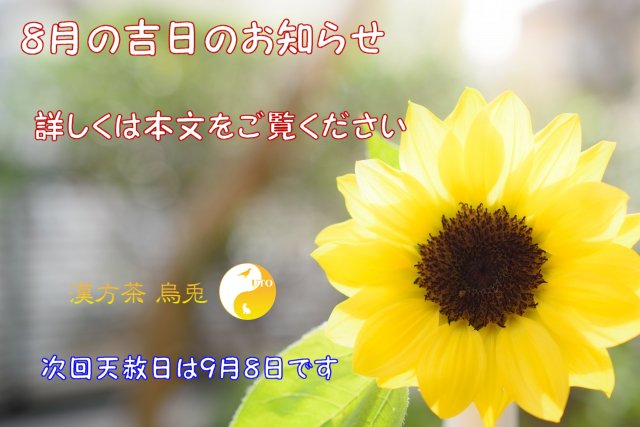 ひまわり画像
